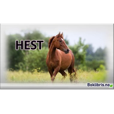 Hest