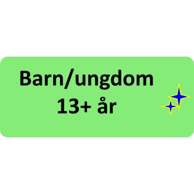 Barn og ungdom 13+ år