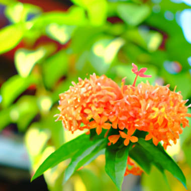 Blomster, frukt, grønt