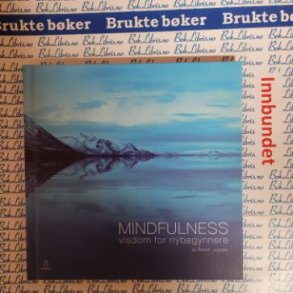 rstein Justnes - Mindfulness - Visdom for nybegynnere