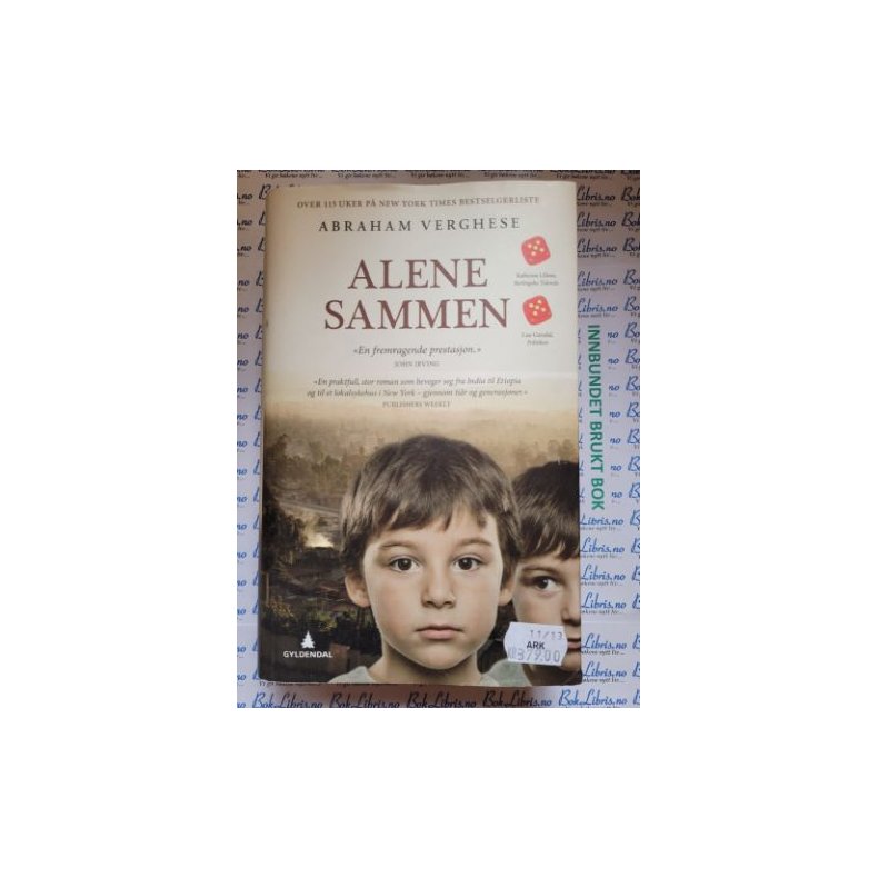 Abraham Verghese - Alene sammen (Innbundet)