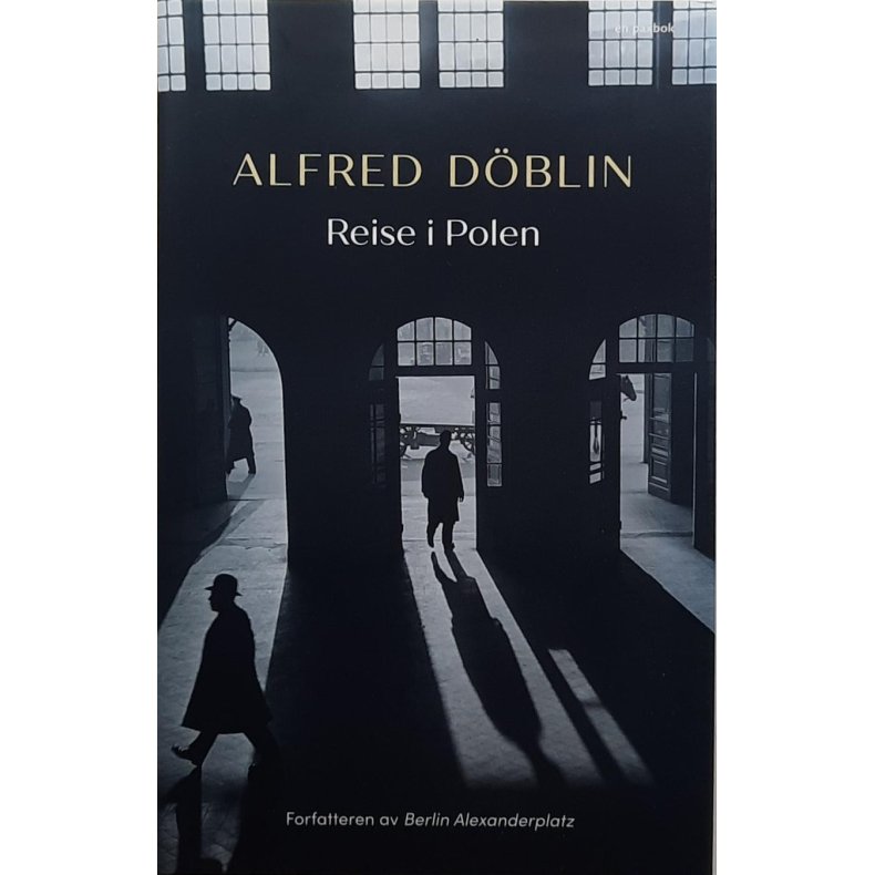 Alfred Dblin - Reise i polen
