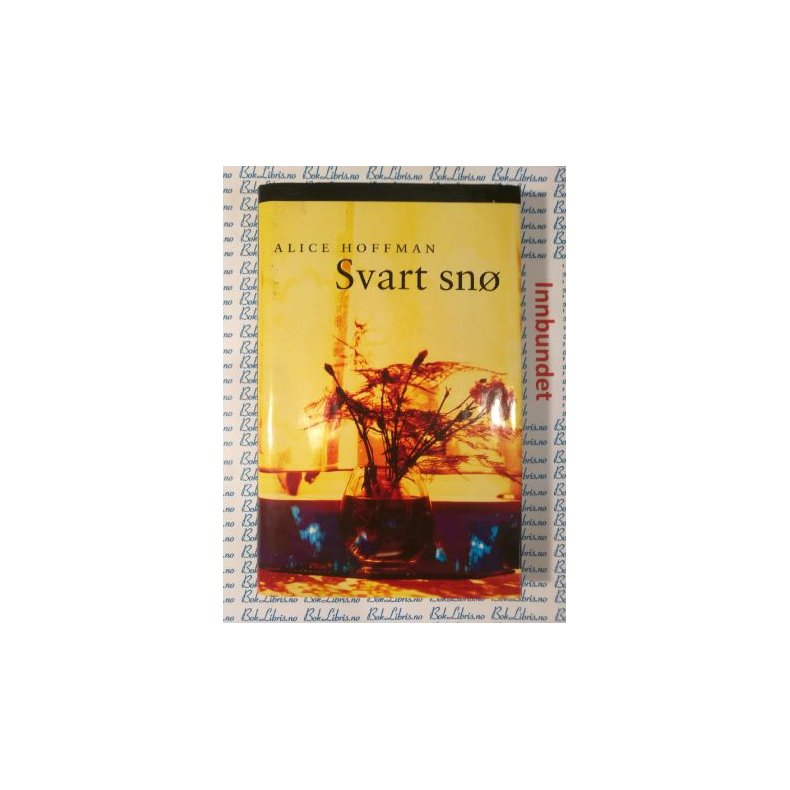 Alice Hoffman - Svart sn