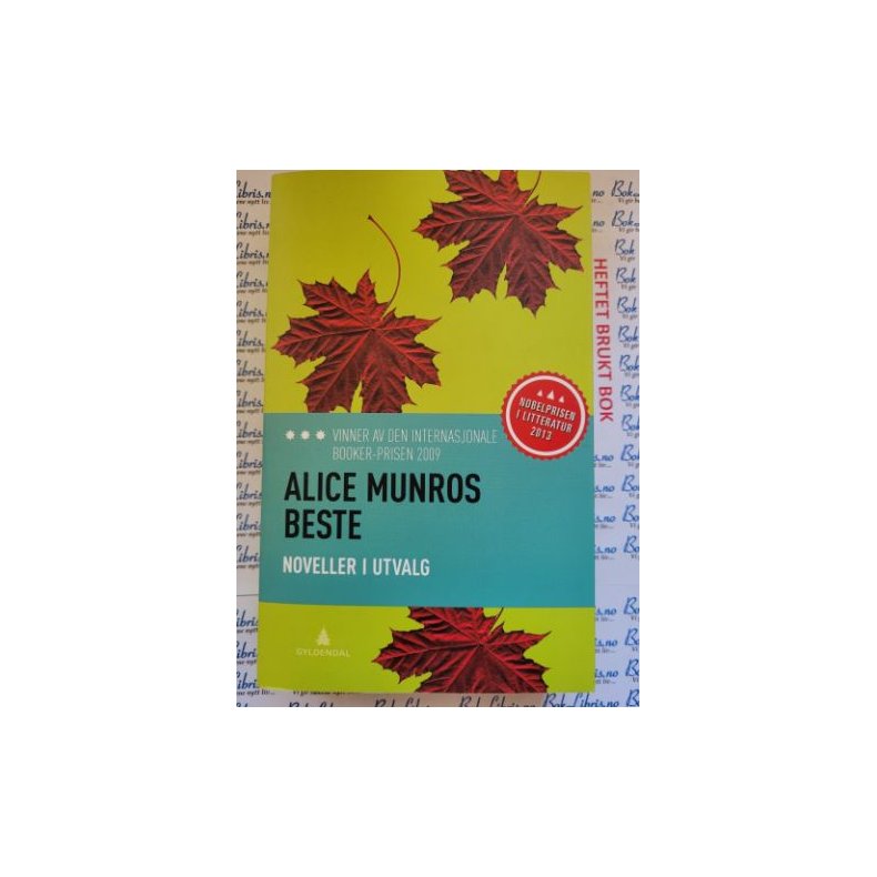 Alice Munros beste - Noveller i utvalg