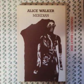 Alice Walker - Meridian