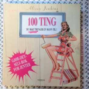 Alison Jenkins - 100 ting du ikke trenger en mann til!
