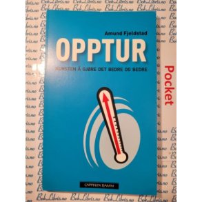 Amund Fjeldstad - Opptur