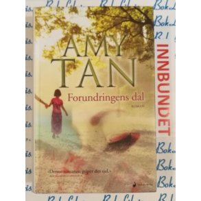 Amy Tan - Forundringens dal (I)
