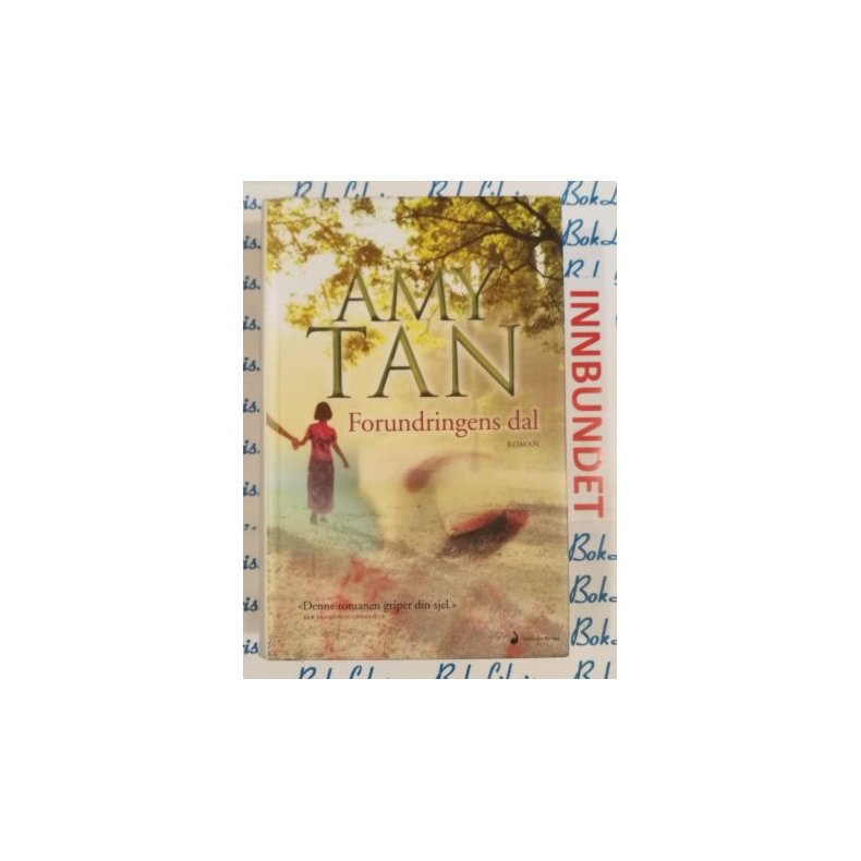 Amy Tan - Forundringens dal (I)