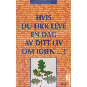 Andreas Borch Sandsdalen - Hvis du fikk leve en dag av ditt liv om igjen...?