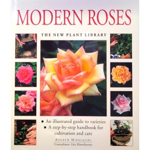 Andrew Mikolajski - Modern roses