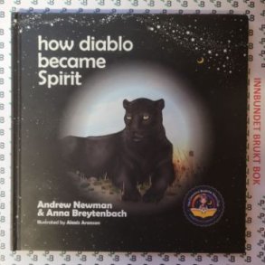 Andrew Newman - How Diablo became Spirit