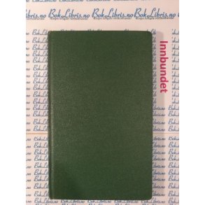 Ane Borgen - Piken i dalen