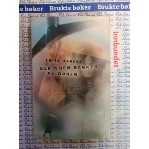 Anita Shreve - Nr noen banker p dren