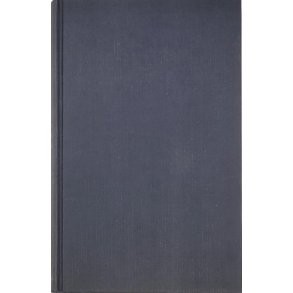 Anker Rogstad - Rabies (Innb.)