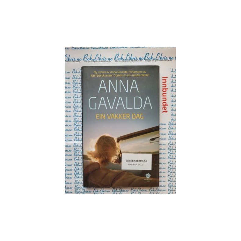 Anna Gavalda - Ein vakker dag