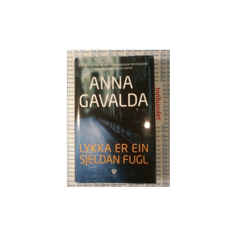 Anna Gavalda - Lykka er ein sjeldan fugl