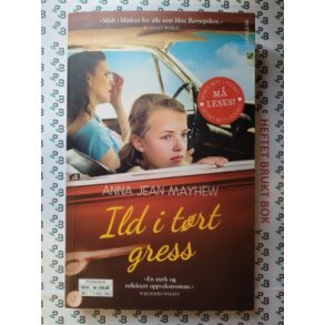 Anna Jean Mayhew - Ild i trt gress