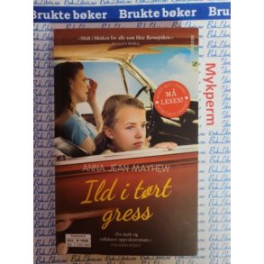 Anna Jean Mayhew - Ild i trt gress