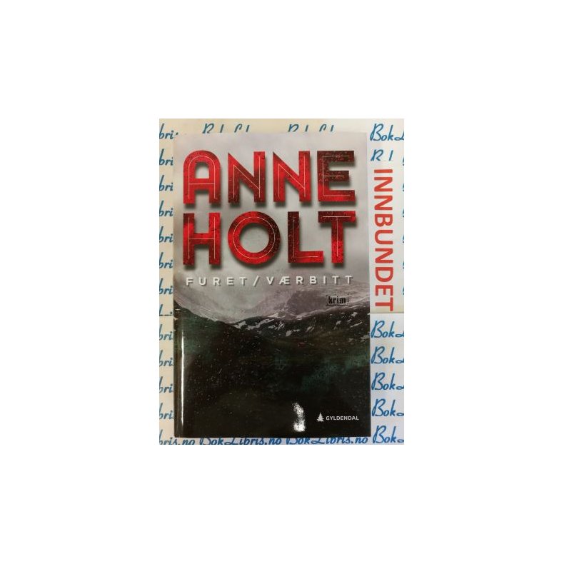 Anne Holt - Furet/V�rbitt