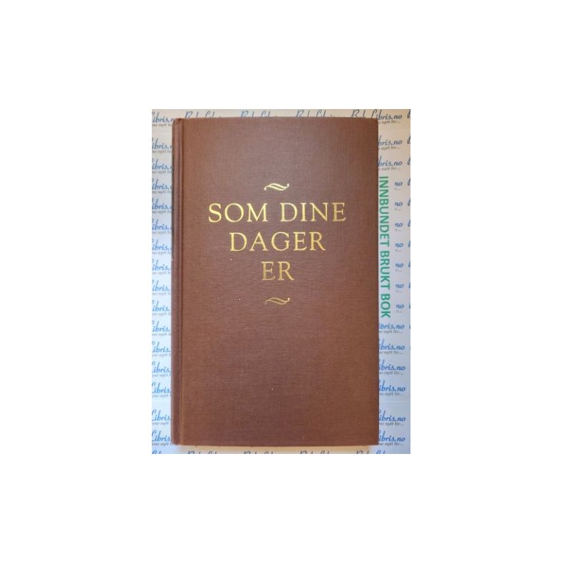 Anne Karin Elstad - Som dine dager er (bruktbok)