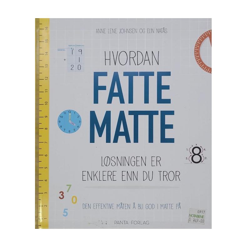 Anne Lene Johnsen og Elin Nats - Hvordan fatte matte