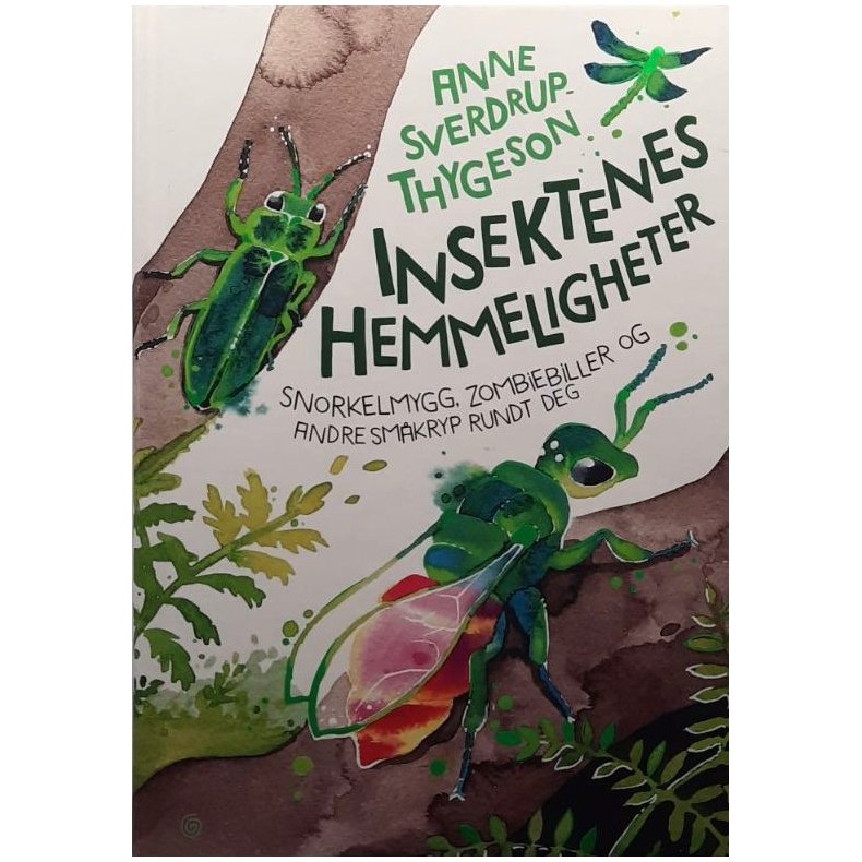 Anne Sverdrup-Thygeson - Innsektenes Hemmeligheter (Innbundet) 