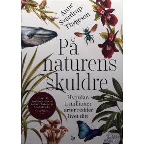 Anne Sverdrup-Thygeson - P naturens skuldre (Innbundet)