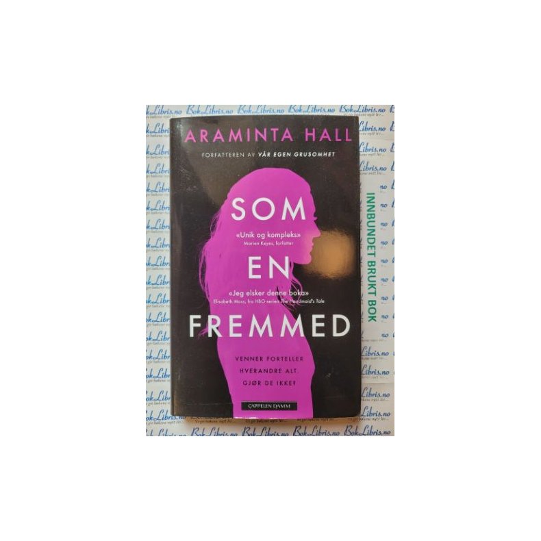 Araminta Hall - Som en fremmed