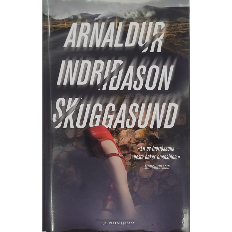 Arnaldur Indridason - Skuggasund