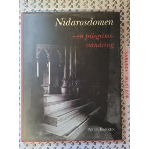 Arne Bakken - Nidarosdomen - en pilegrimsvandring