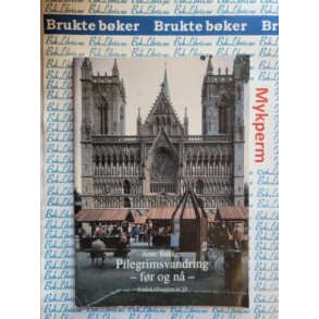 Arne Bakken - Pilegrimsvandring- fr og n