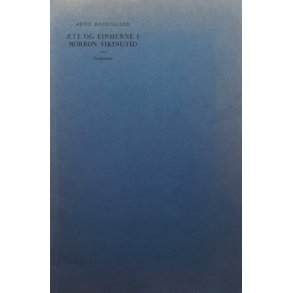 Arne Bergsg�rd - �tt og einmenne i norr�n vikingtid - (Heftet)