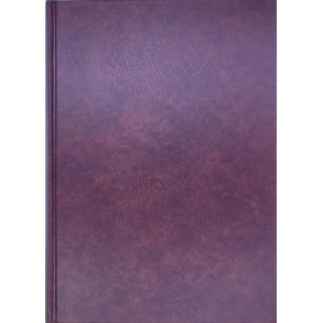 Arne Olav Brundtland - Gift med Gro (EI)