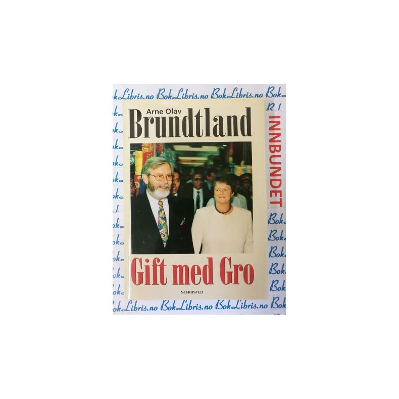 Arne Olav Brundtland - Gift med Gro (I)