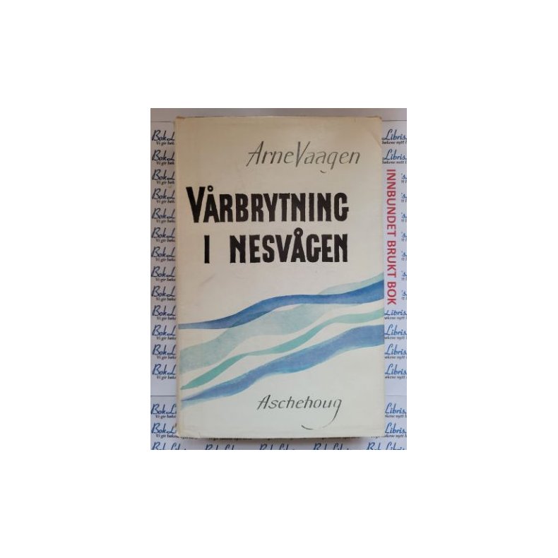 Arne Vaagen - Vrbrytning i Nesvgen