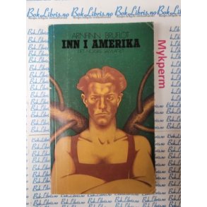 Arnfinn Bruflot - Inn i Amerika