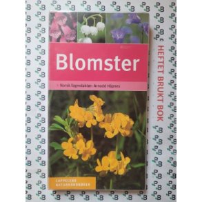 Arnodd Hpnes - Blomster