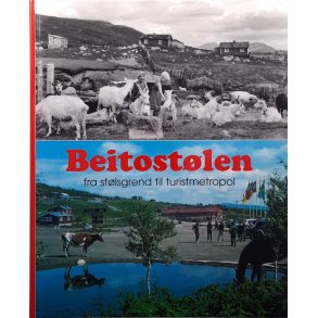 Arvid M�ller - Beitost�len fra st�lsgrend til turistmetropol (Innbundet)