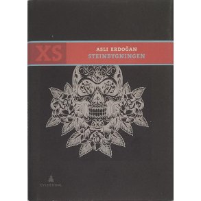 Asli Erdoğan - Steinbygningen