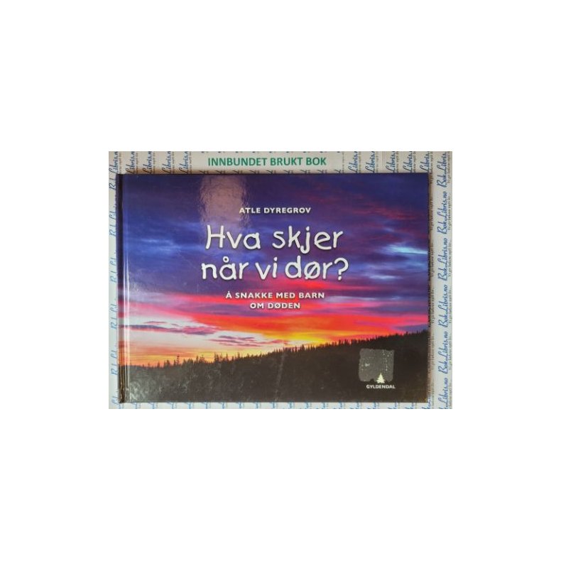 Atle Dyregrov - Hva skjer nr vi dr? -  snakke med barn om dden