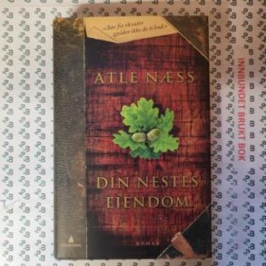 Atle Nss - Din nestes eiendom