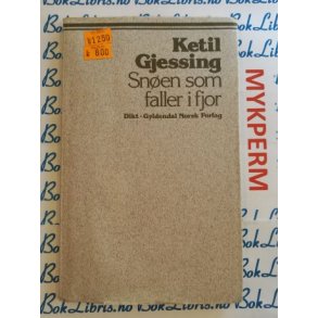 Ketil Gjessing - Snen som faller i fjor