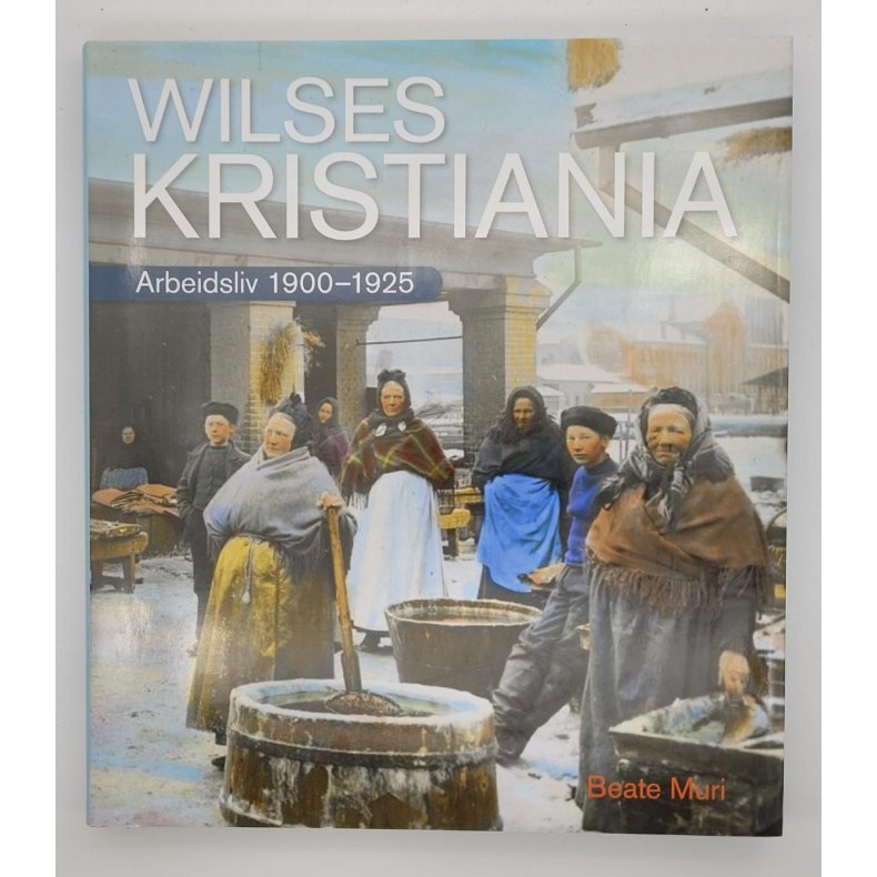 Beate Muri - Wilses Kristiania - Arbeidsliv 1900-1925