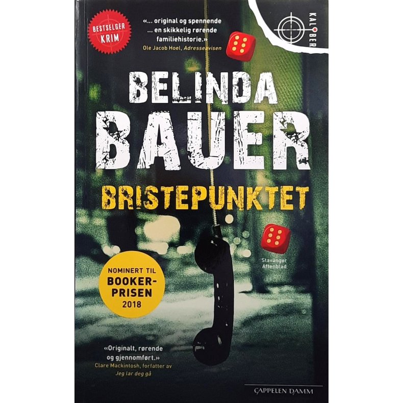 Belinda Bauer - Bristepunktet - Heftet