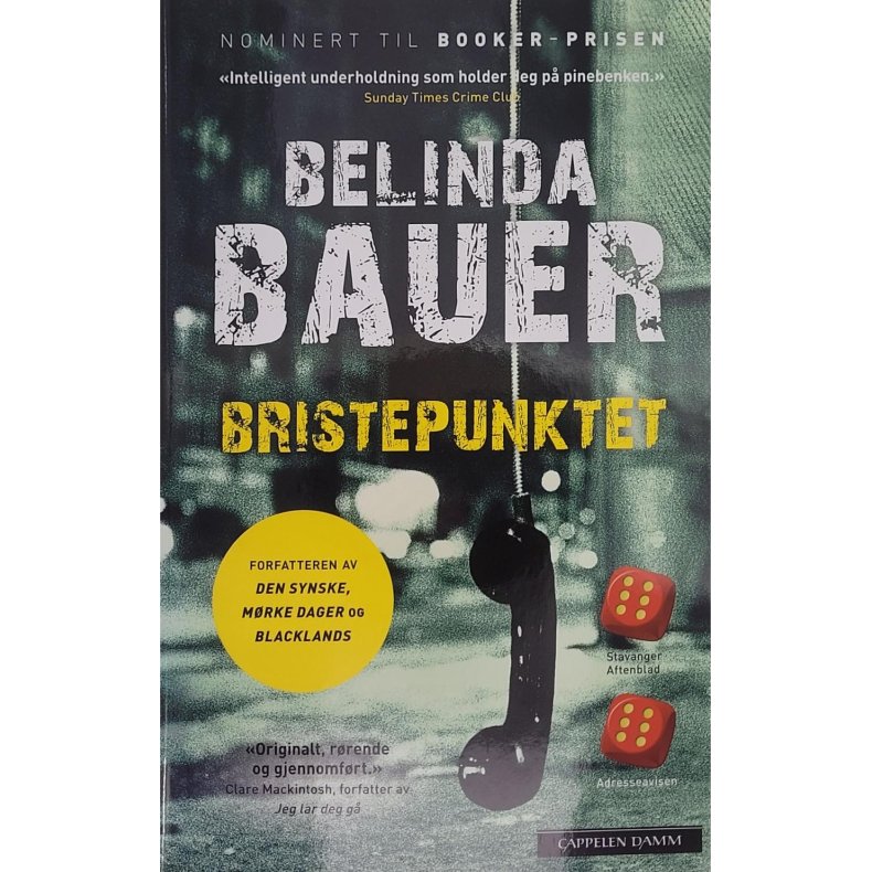 Belinda Bauer - Bristepunktet