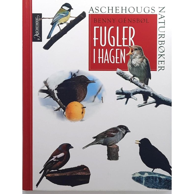 Benny Gnsbl - Fugler i hagen