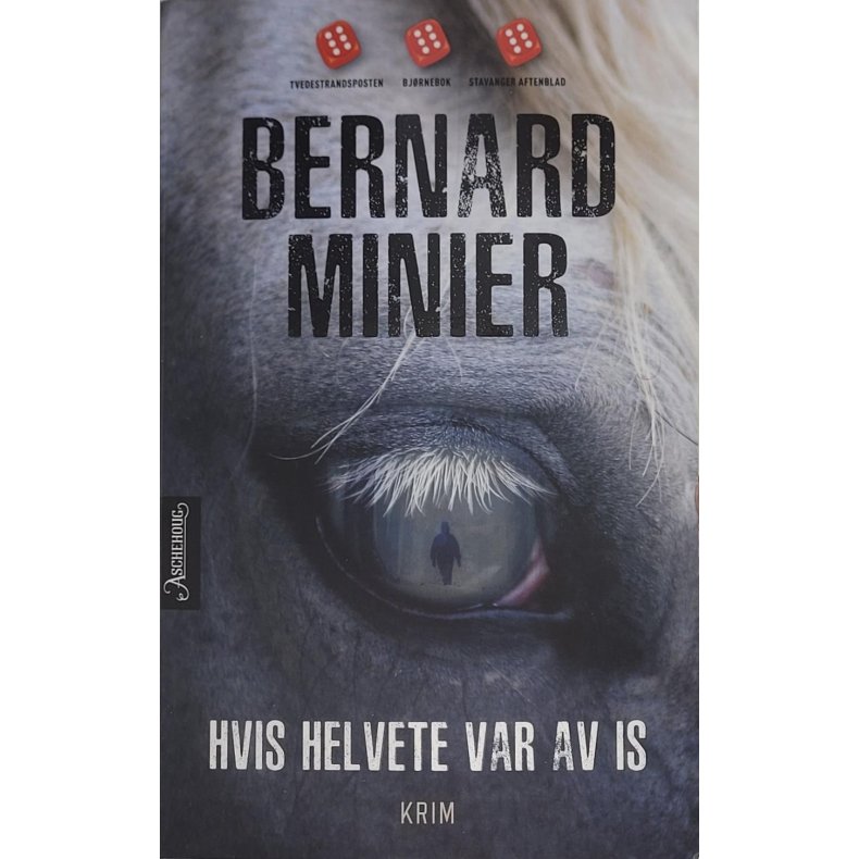 Bernard Minier - Hvis Helvete var av is