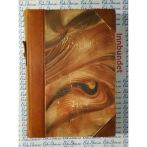 Bernt Lies samlede verker IV - I Knut Arnebergs hus Hildr Peter Napoleon