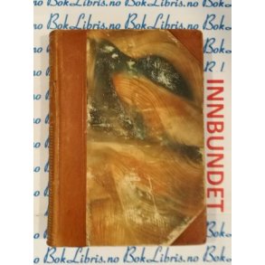 Bernt Lies samlede verker Mindeutgave V Sster Judit, Et srsyn